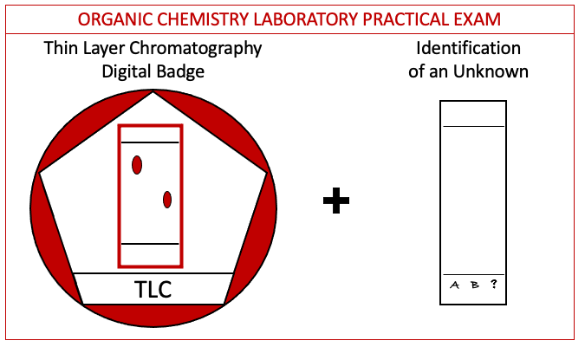 lab practical exam