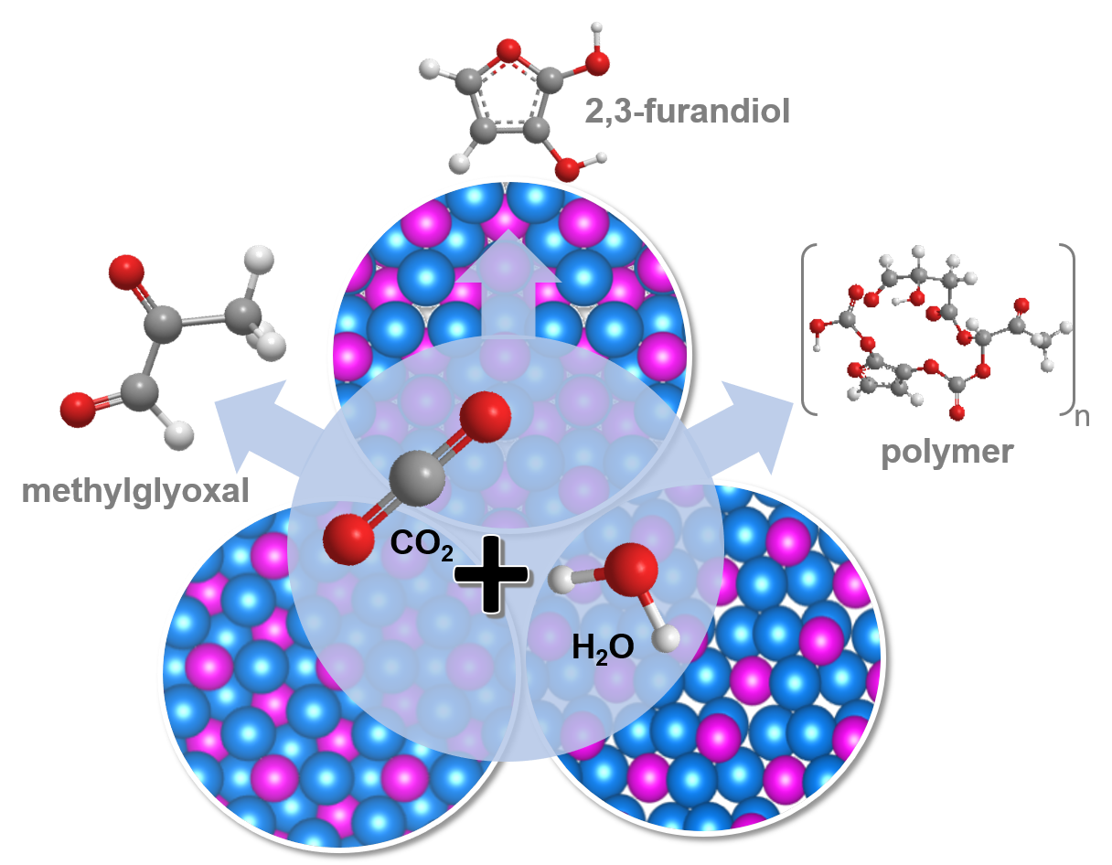 CO2RR Compact Revised